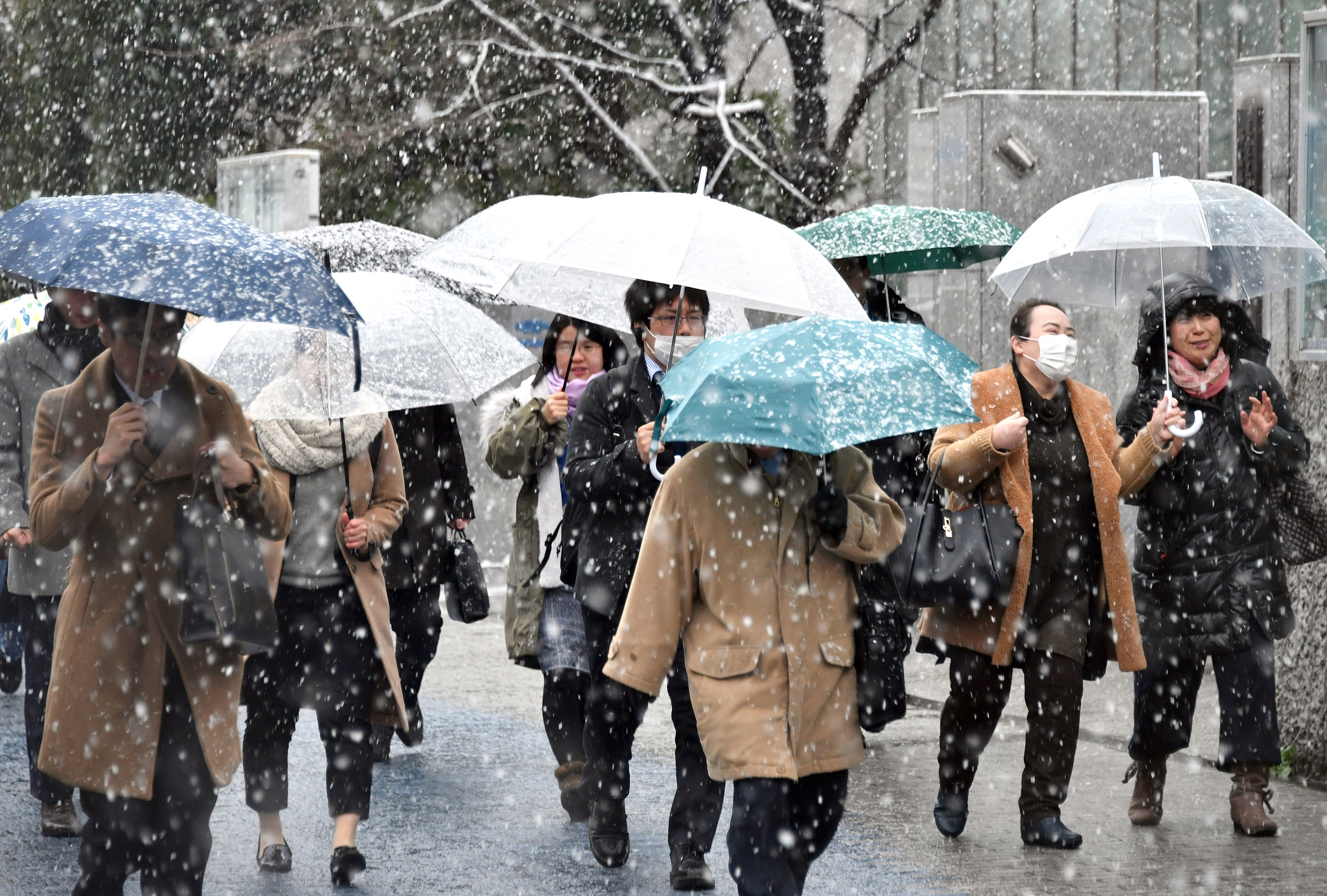 The snow came on Ginza